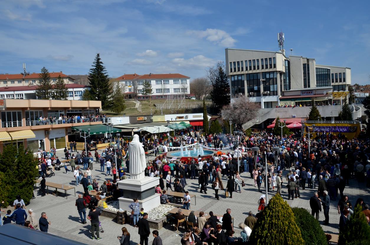 zelnik 2019 10