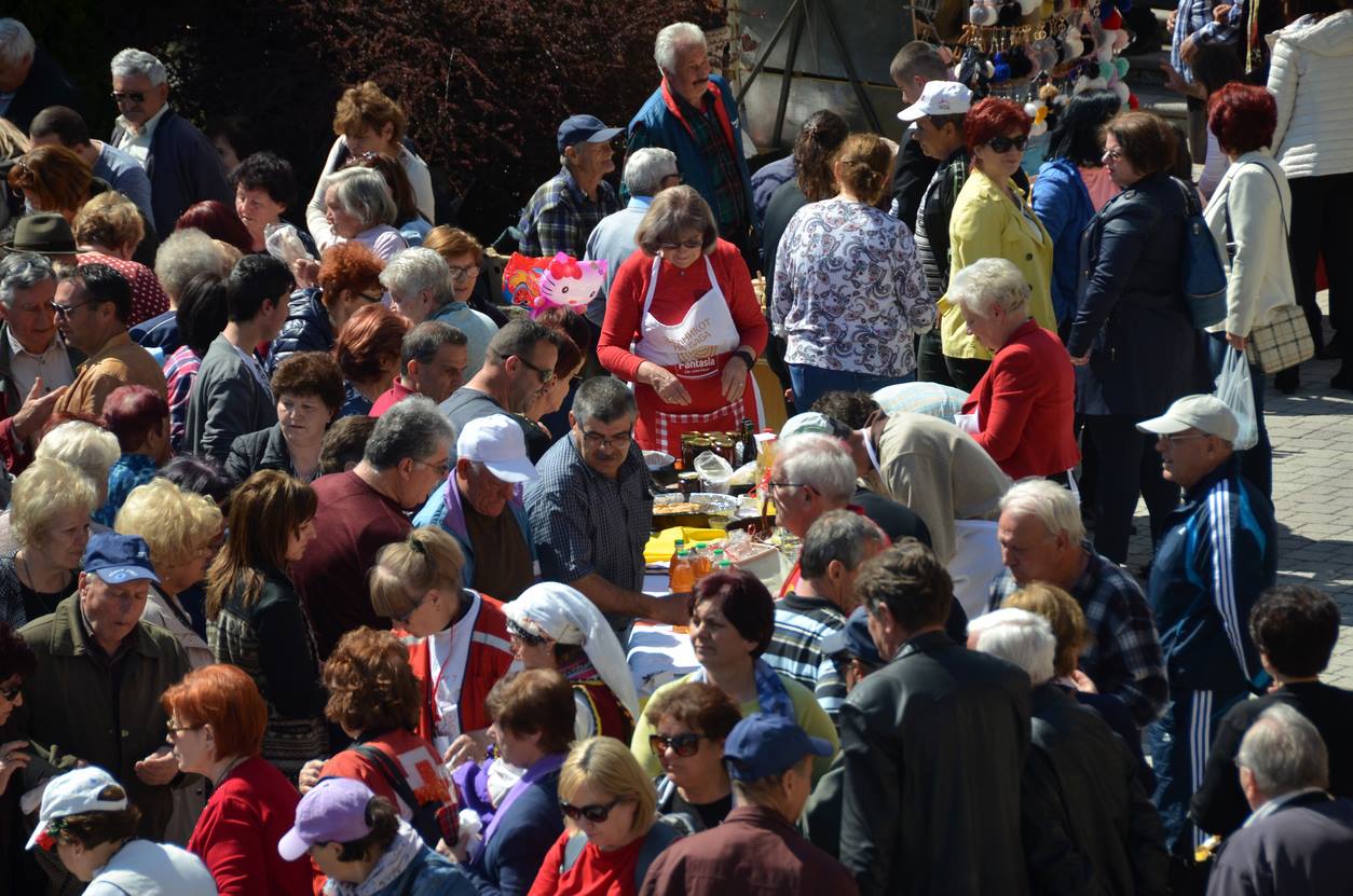 zelnik 2019 12