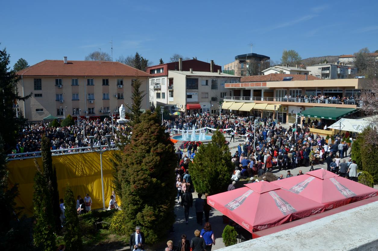 zelnik 2019 3