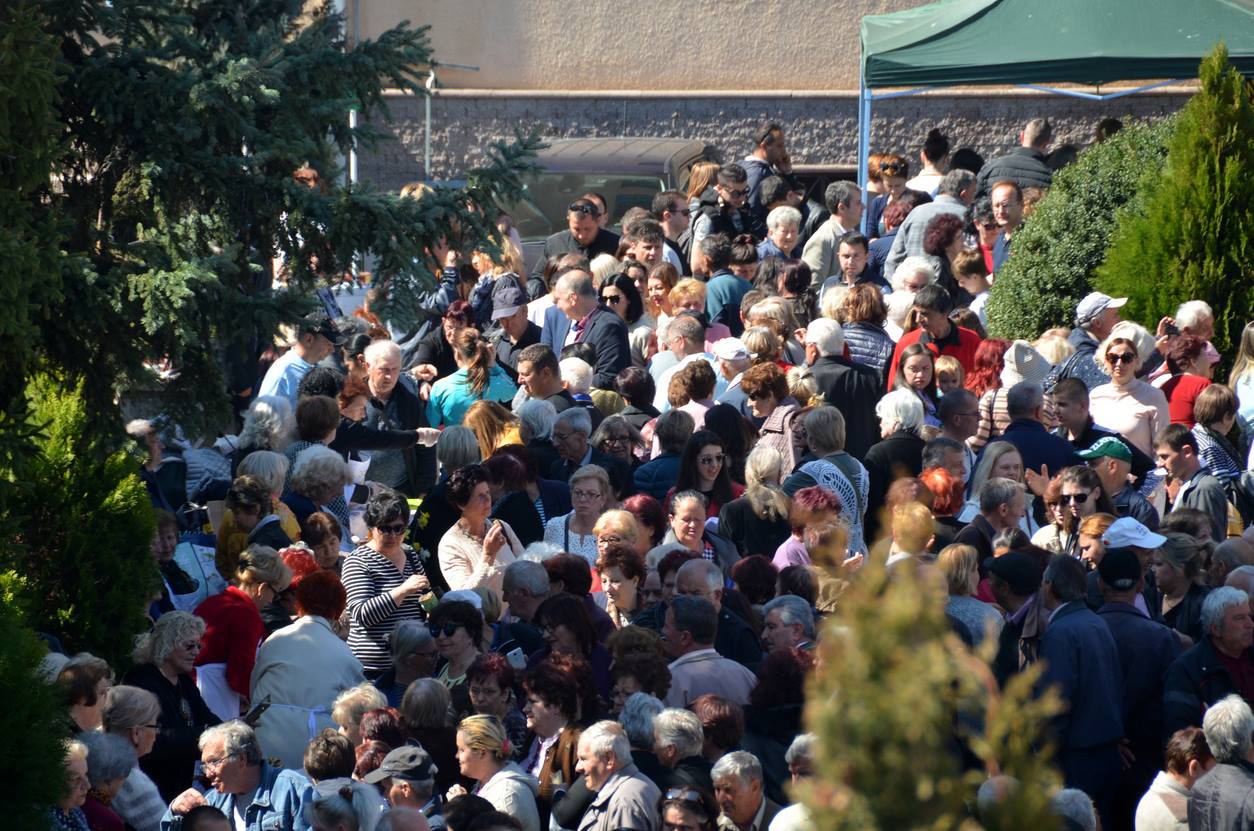 zelnik 2019 4