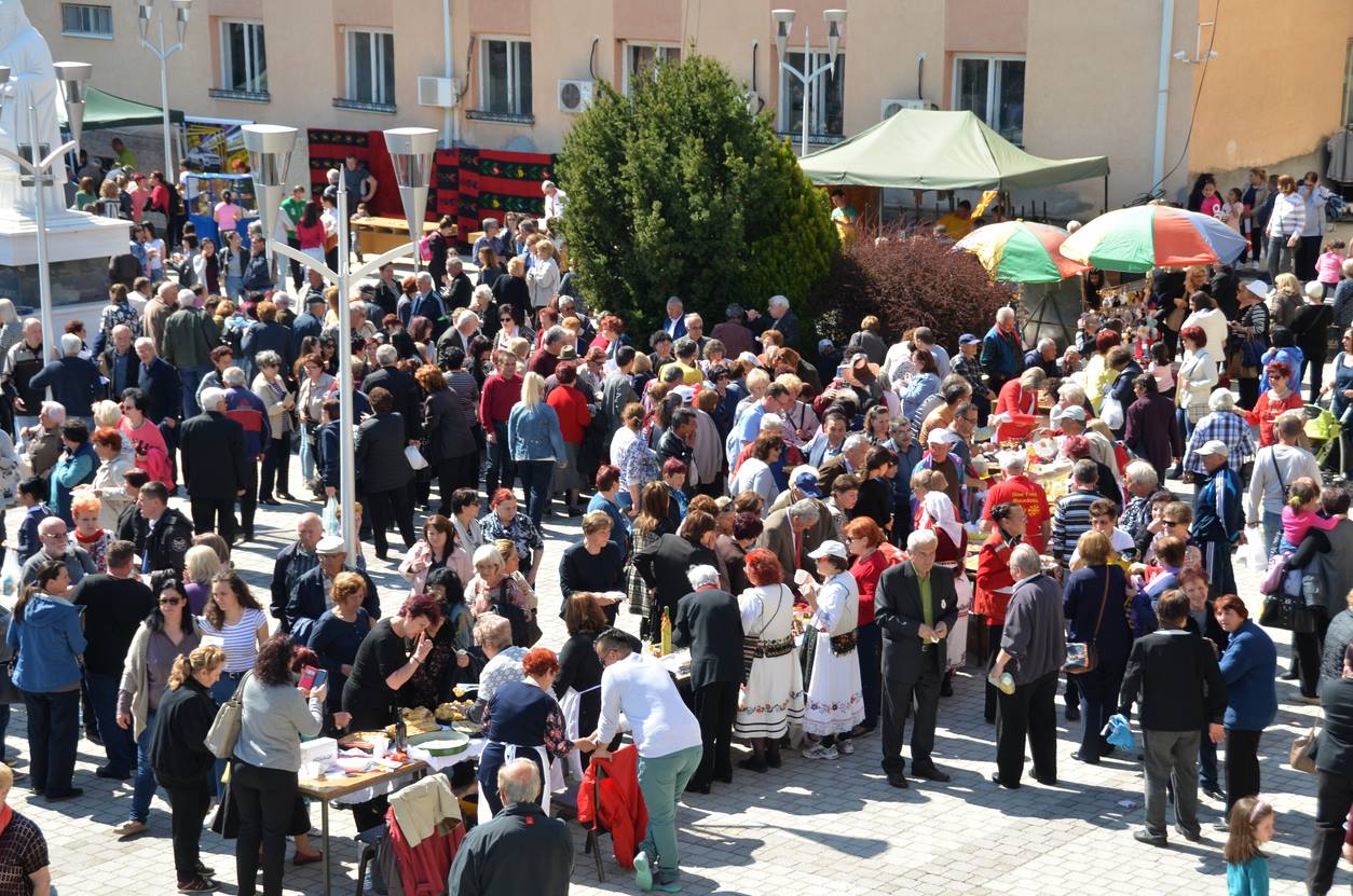zelnik 2019 7
