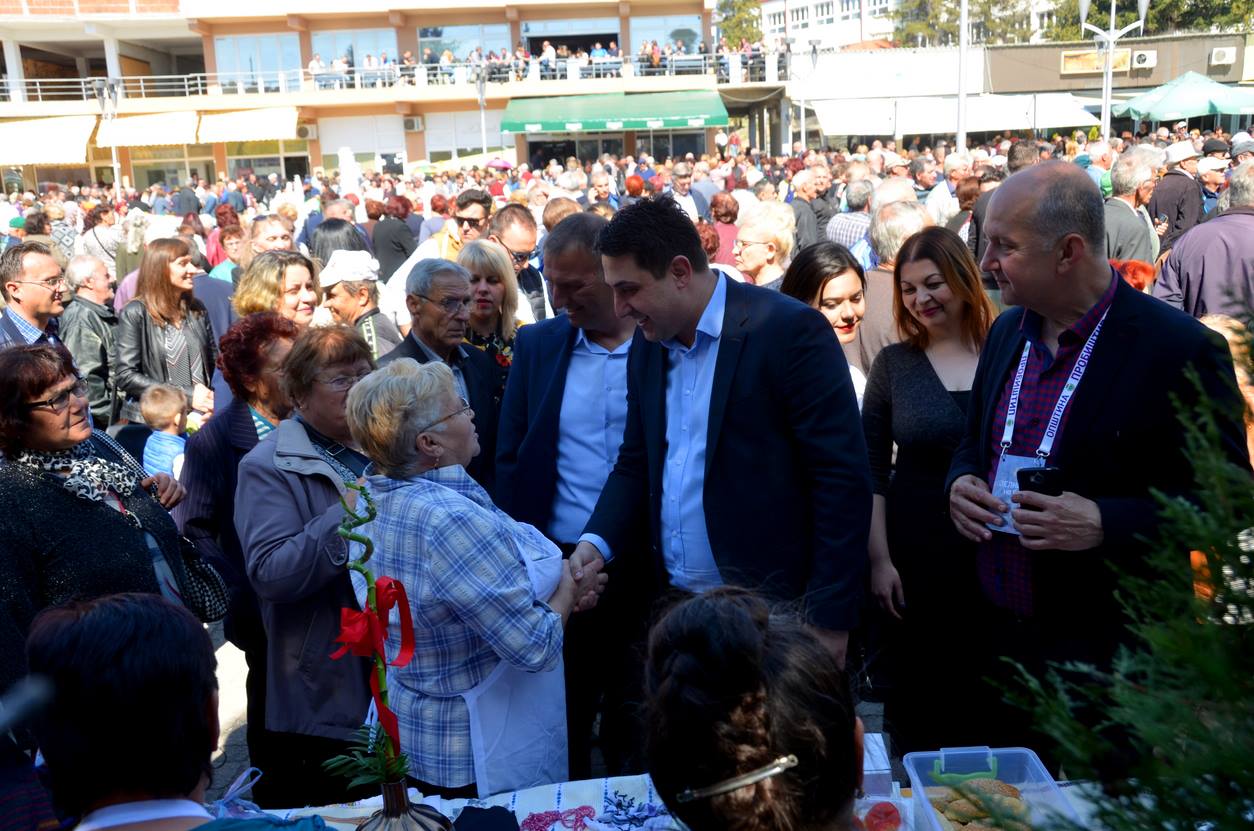 zelnik 2019 8